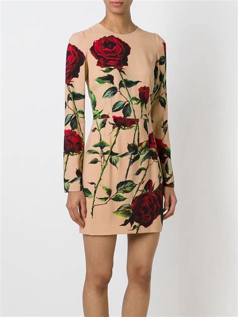 dolce gabbana rose print long dress|dolce gabbana rose print dress.